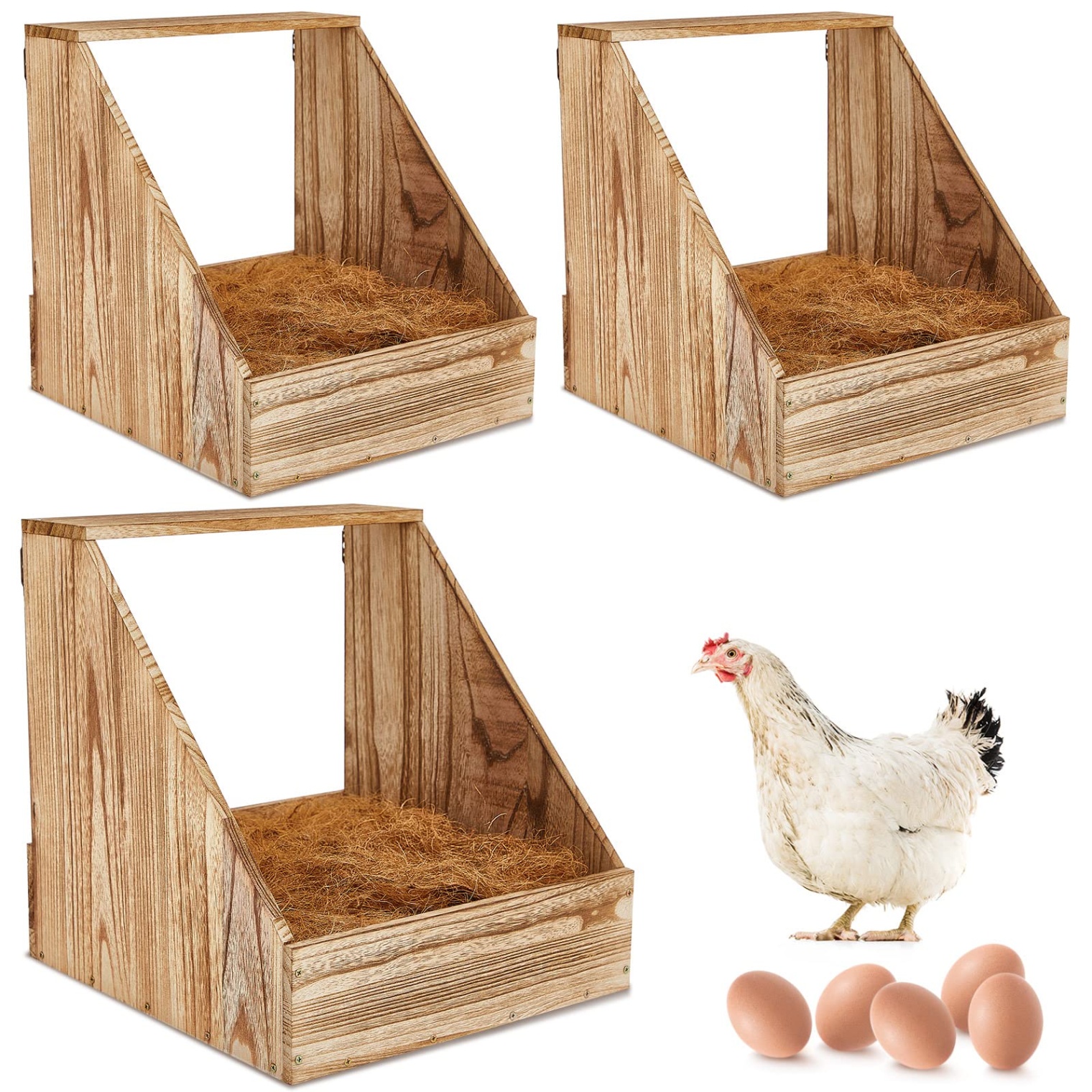 Upgrade Your Chicken Pad: Must-Have Coop Accessories For Happy Hens!